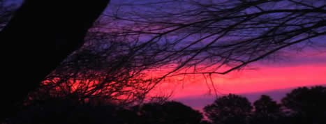 photograph of a beautiful april sunrise red and purple
