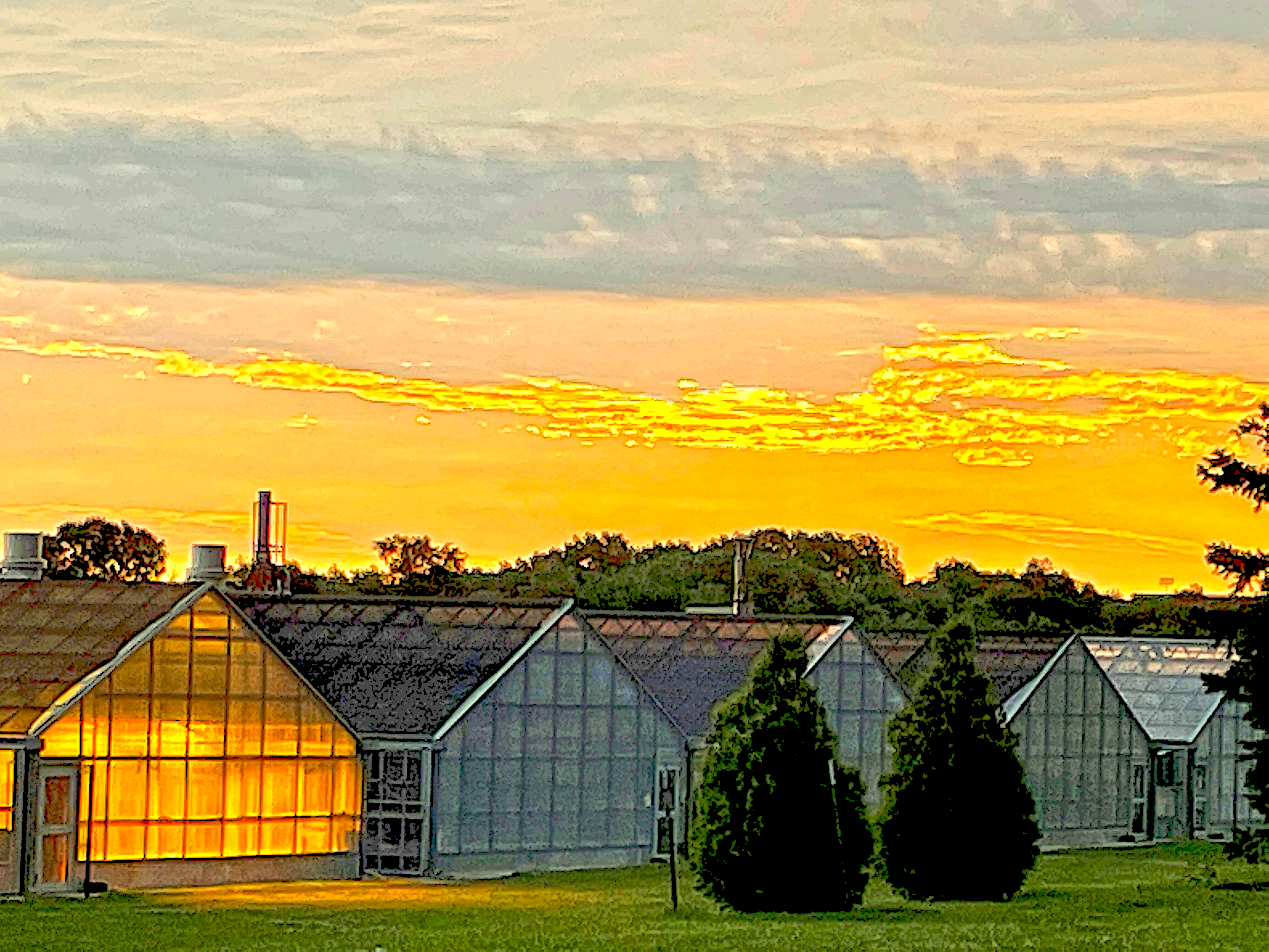 clouds illuminated by sunrise greenhouse illuminated by lighting on East campus