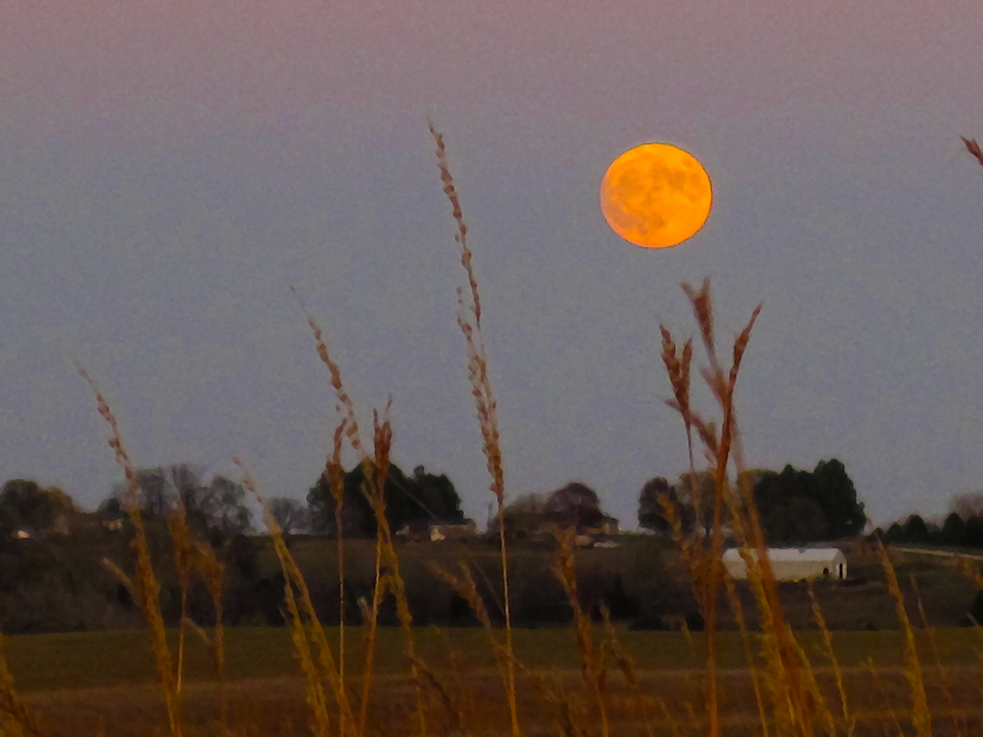 The The Super Moon  orange and yellow