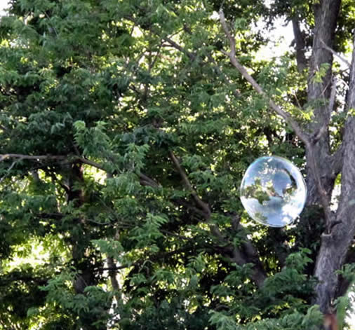 Jays big bubbles large floating bubbles with trees in the background